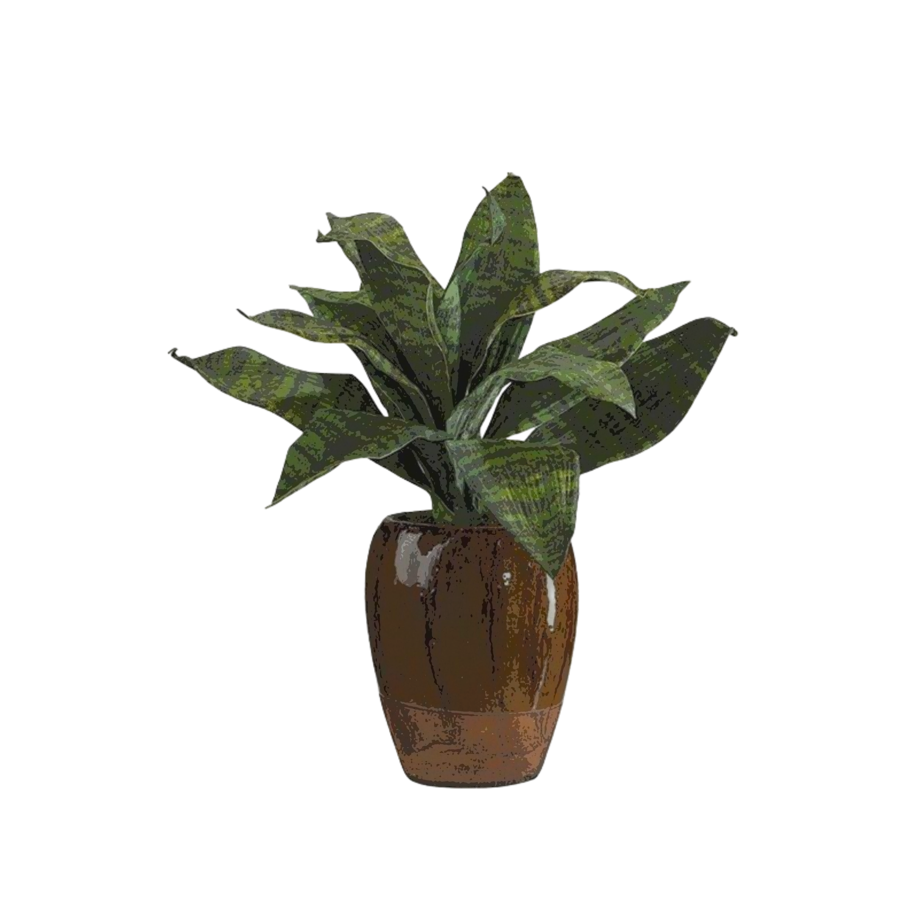 plant1