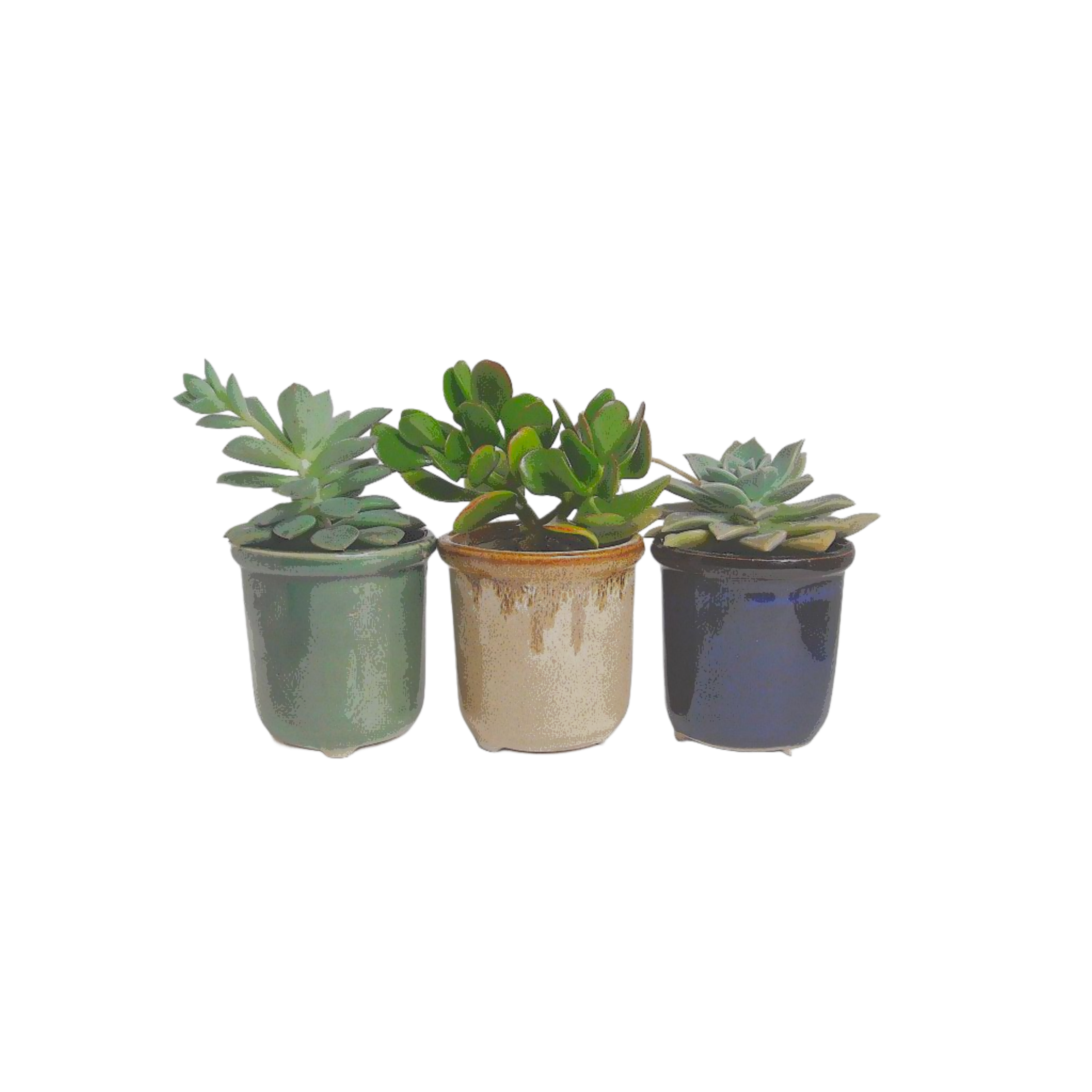 pots
